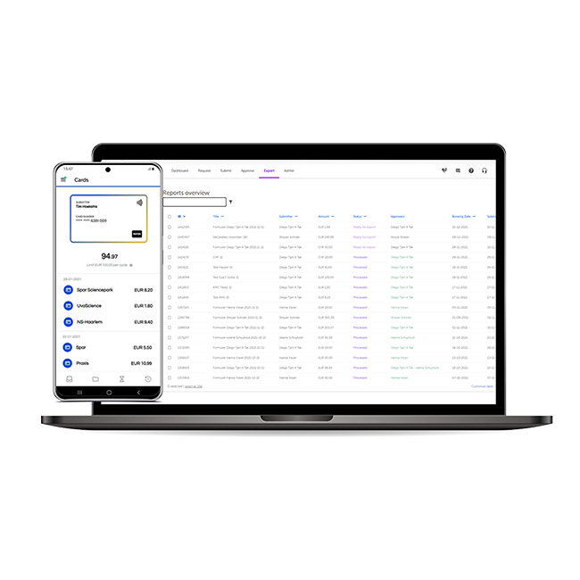 Automatic reconciliation of credit card statements