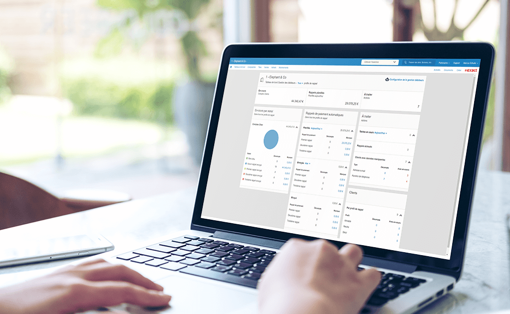 Exact Online Gestion des débiteurs