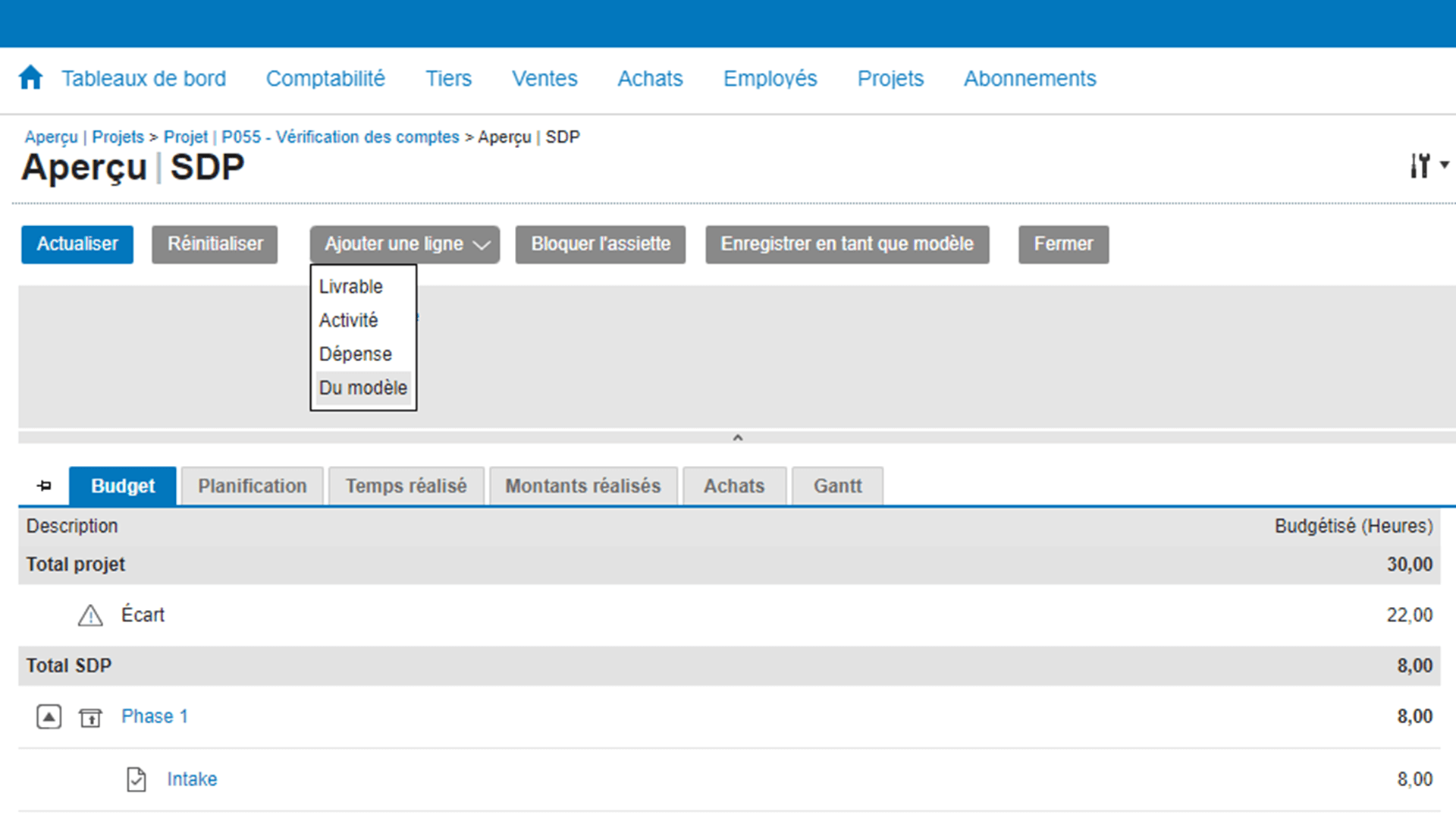 Temps et facturation/Gestion de projet