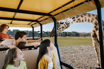 libema - beekse bergen