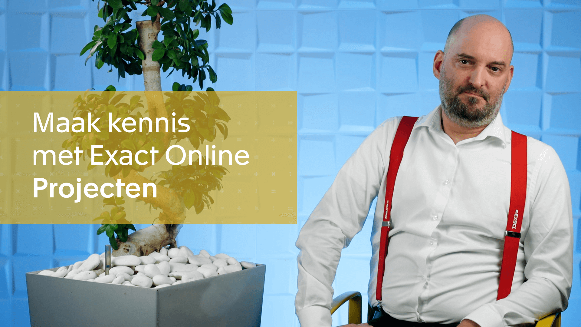 Maak kennis met Exact Online Projecten