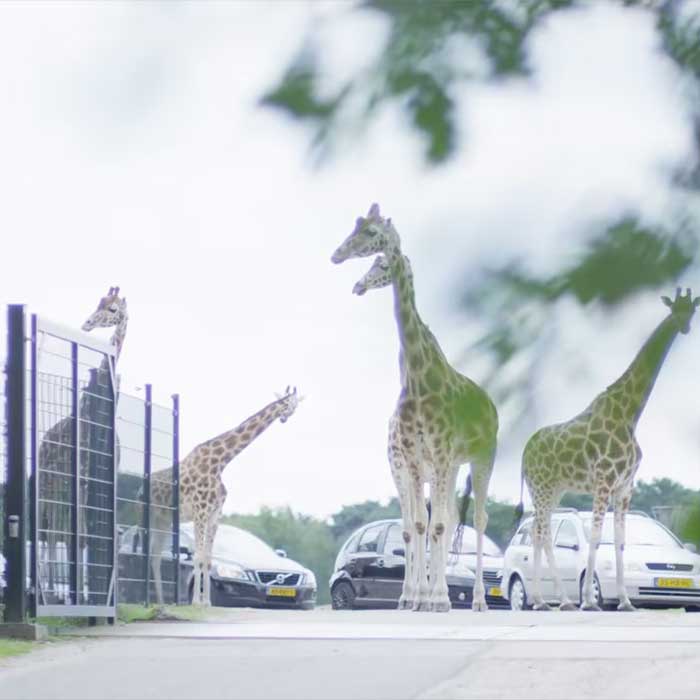 Whitepaper: Onzekere dagen in de vrijetijdssector? Slimme software biedt houvast 