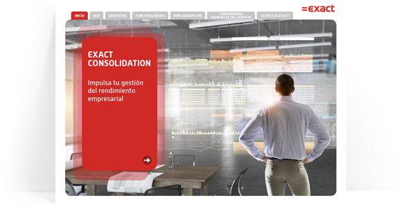 Factsheet Exact Consolidation