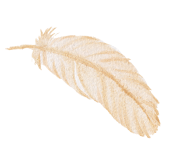 Floating feather