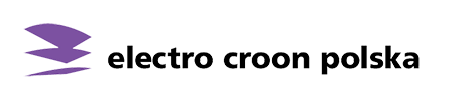 Electro Croon
