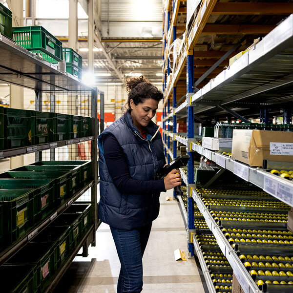 Profiteer van de goede economische vooruitzichten