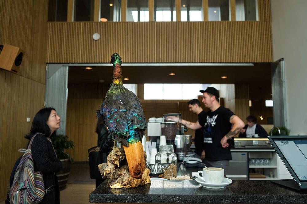 The Village Coffee
