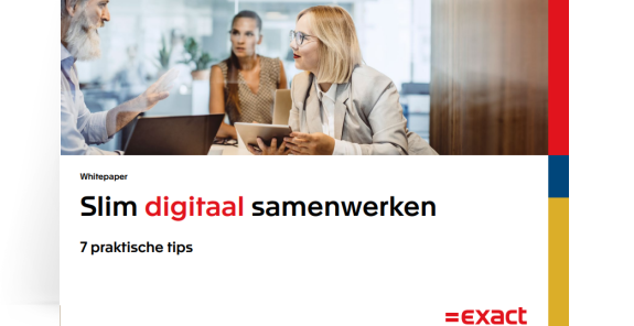 Whitepaper digitale accountant
