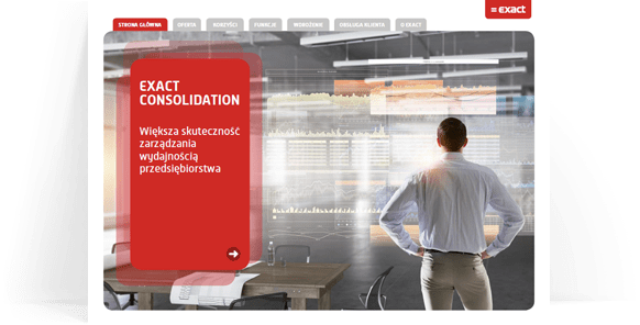 Factsheet Exact Consolidation